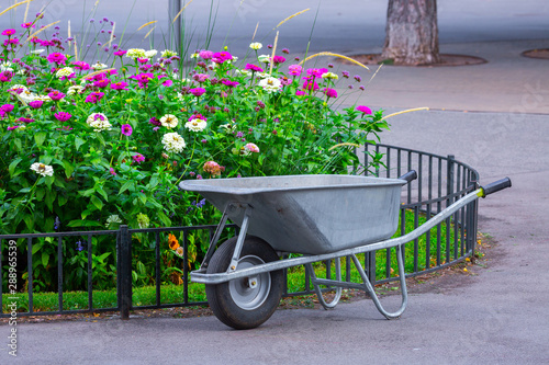 Garden wheelbarrow galvanized metal stand in a city park near a flower bed.