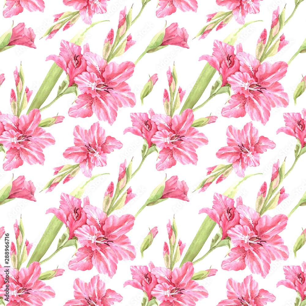 seamless background, pattern of pink gladiolus flowers on a white background, watercolor illustration