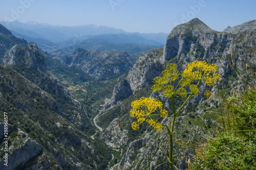 Panoramic views of the gorge of La Hermida, from the Santa Catalina viewpoint photo