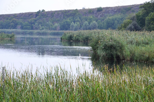 Water landscape on summer evenings. photo