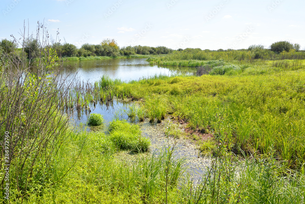 River at sunny day. River at sunny day.