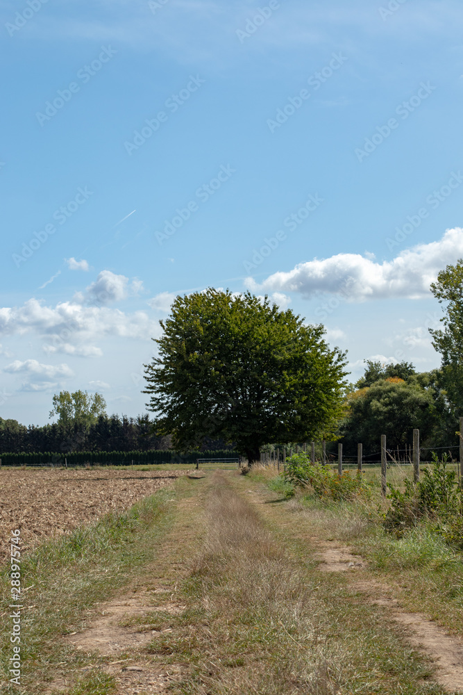 Landschaft, Feld, Weg, Bäume und Himmel, Landschaft Landschaft, Feld, Weg, Bäume und Himmel, Landschaft