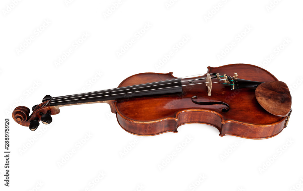 Fototapeta premium Violin isolated on white background