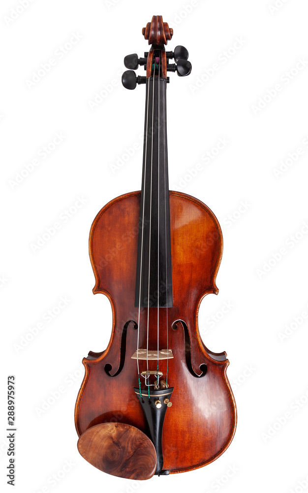 Fototapeta premium Violin isolated on white background