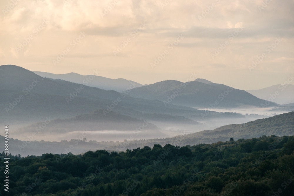 Fototapeta premium Bieszczady mglisty poranek, Widok na Tarnicę 