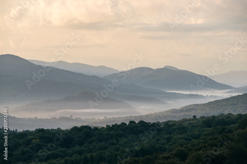 Bieszczady mglisty poranek, Widok na Tarnicę 