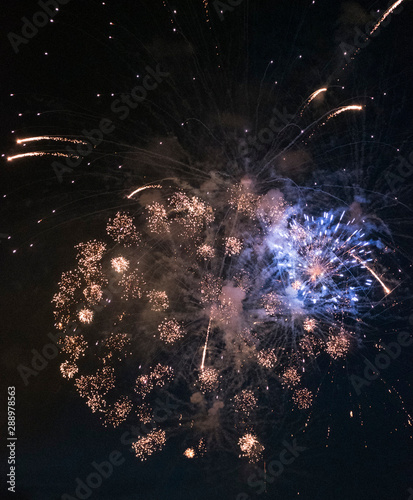 Wallpaper Mural Fireworks bursting in the sky Torontodigital.ca