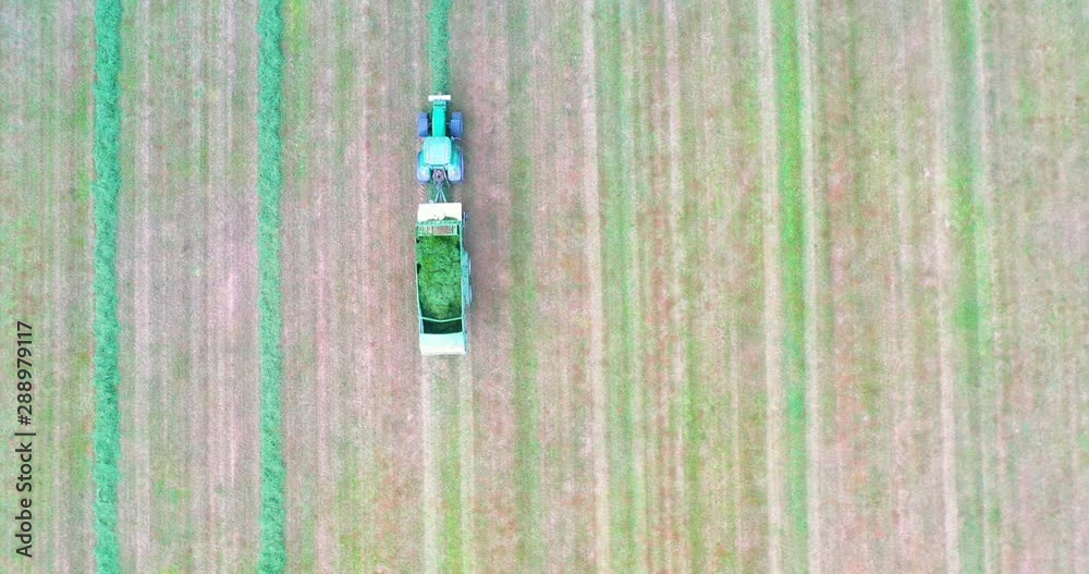 Ariel view of a modern new combine harvester cutting crops. Modern new tractor green combine harvester cutting crops oilseed working the field corn wheat. Ariel view of a modern new combine harvester cutting crops. Modern new tractor green combine harvester cutting crops oilseed working the field corn wheat.