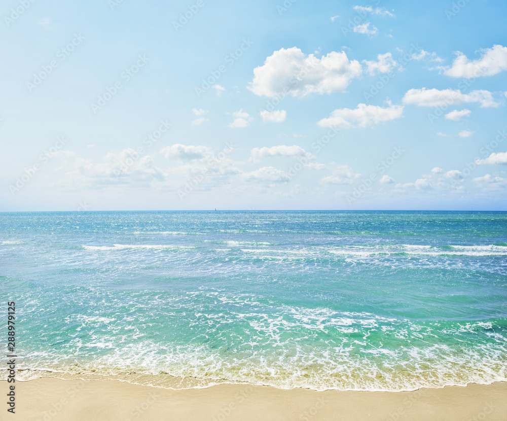 Bright summer panorama view with clear sea