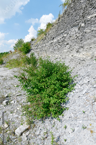 stillgelegter Schieferbruch in Baden-Württemberg - disused slate quarry photo