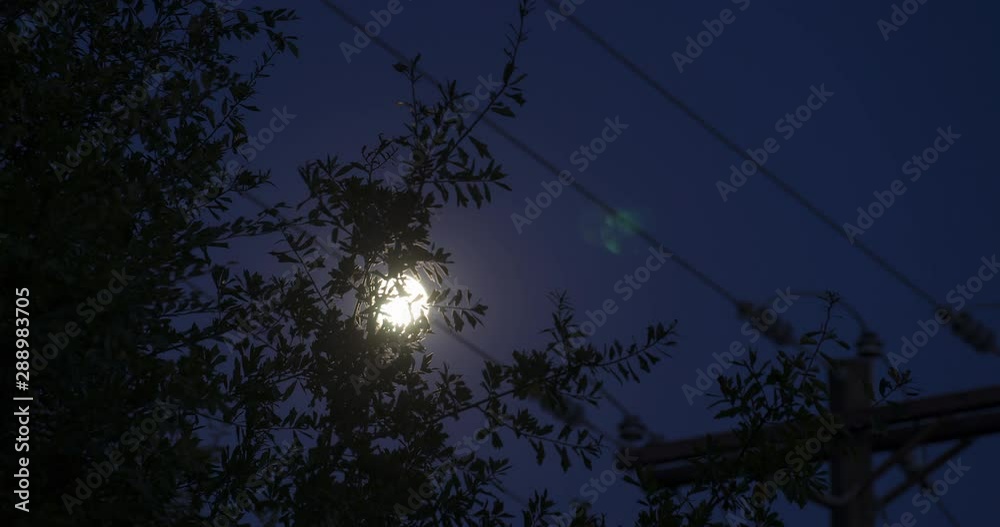 Moon rising on spooky Halloween night time lapse through the trees. Moon rising on spooky Halloween night time lapse through the trees.