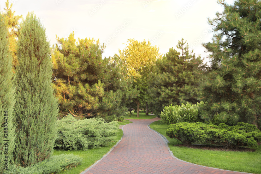 Picturesque landscape with brick path on sunny day. Gardening idea Picturesque landscape with brick path on sunny day. Gardening idea