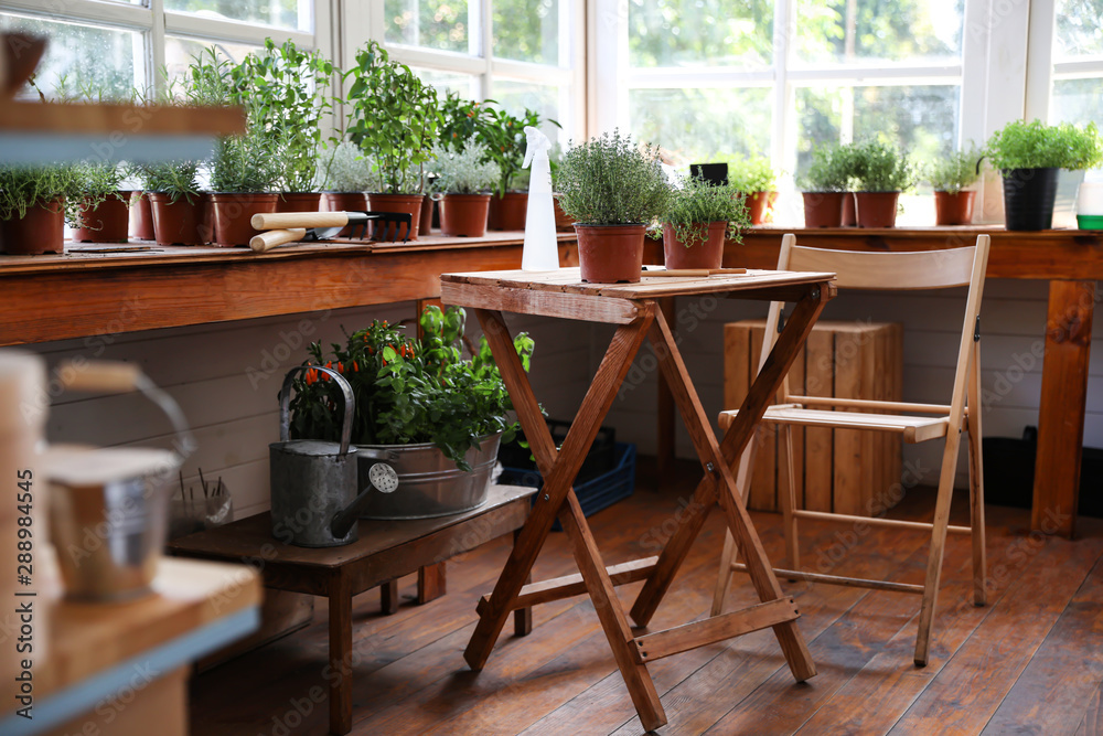 Fototapeta premium Different potted home plants and gardening tools in shop