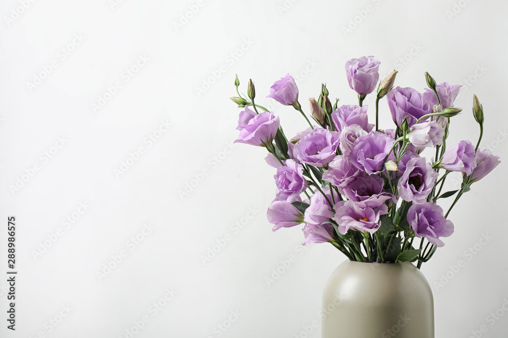Eustoma flowers in vase on white background, space for text