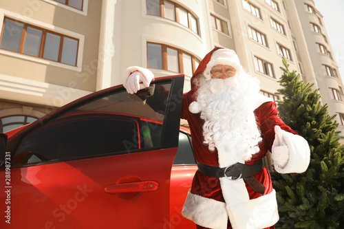 Authentic Santa Claus near car with fir tree outdoors © New Africa