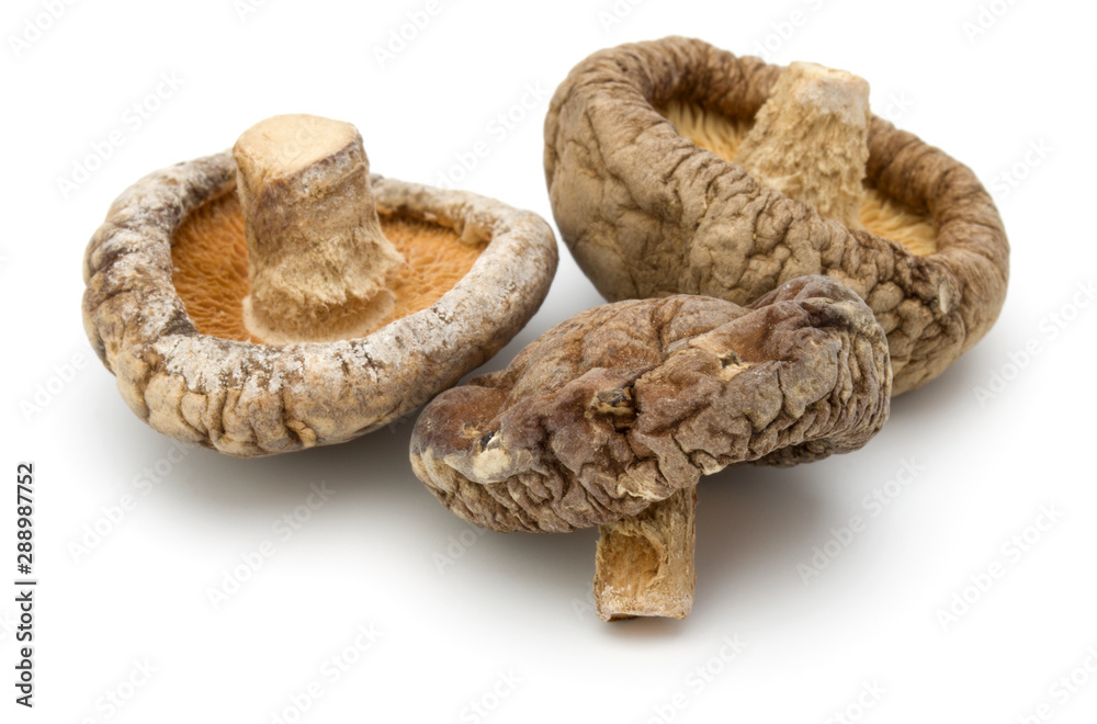 Dried Shiitake Mushroom isolated on white background