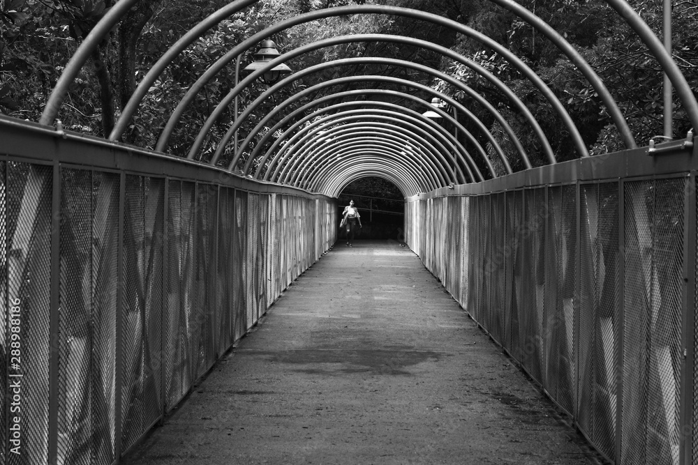 Obraz premium camino