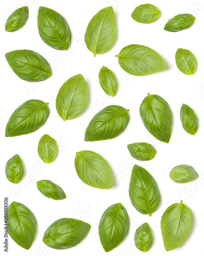 Creative layout made of Sweet Basil herb leaves isolated on white background. Flat lay, top view. Food ingredient pattern.