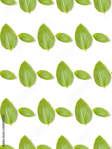 Sweet Basil herb leaves isolated on white background closeup. Flat lay, top view. Seamless pattern. © Natika