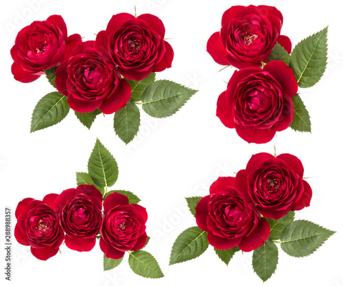 Collection of red roses isolated on white background. Set of different bouquet. Flat lay  top view.