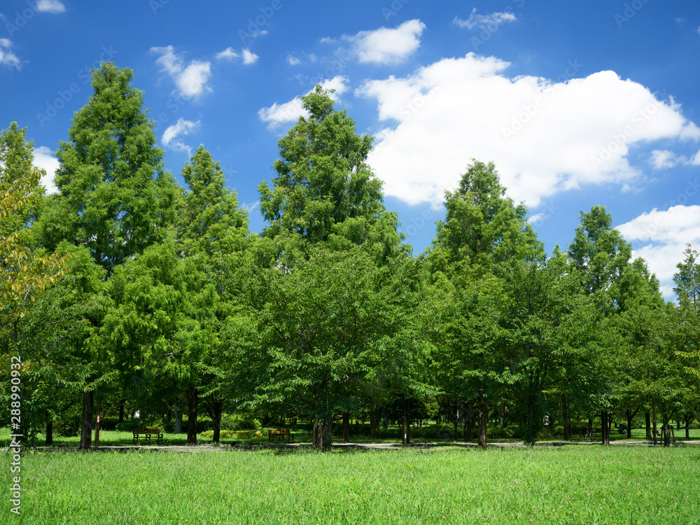 東京都　舎人公園