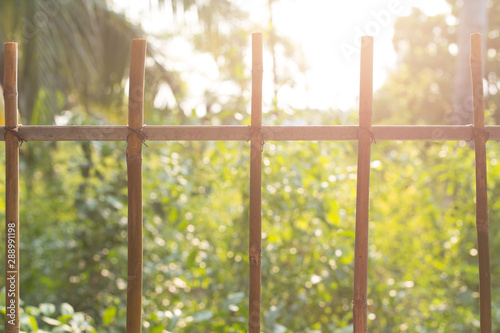 Selective focus of Bamboo fence on natural blurred background