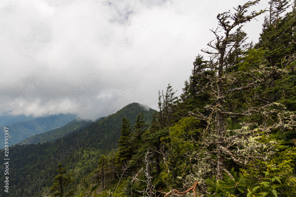 View of the Great Smoky Mountains from Clifftop Overlook View of the Great Smoky Mountains from Clifftop Overlook
