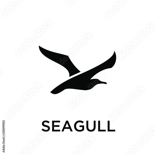 seagull logo icon designs vector