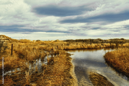 Marsh leading into ocean © Patrick Tappe