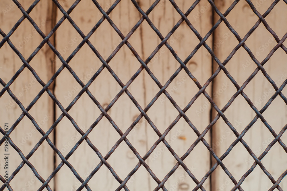 Fototapeta premium Fence over old wooden white door