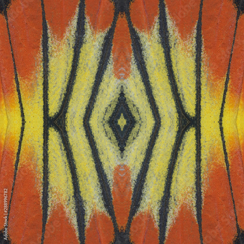 Abstrac background made of butterfly wing