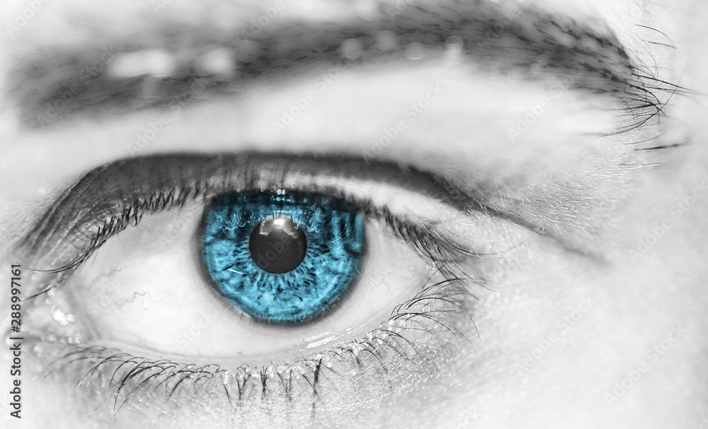 Fototapeta premium colourful eye macro photography