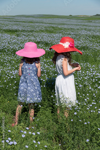 Two girls in straw sun hats in a field of flax flowers photo