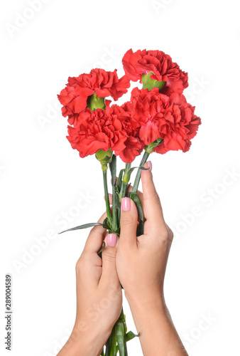 Female hands with beautiful carnation flowers on white background