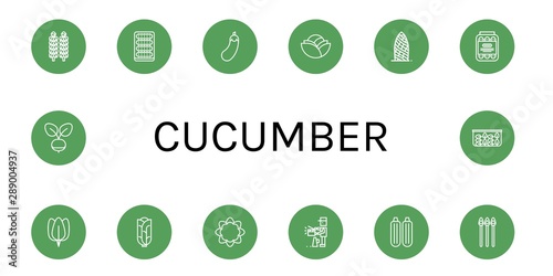 Set of cucumber icons such as Brussels sprouts, Cucumber, Eggplant, Cabbage, Gherkin, Pickled, Spinach, Cauliflower, Producer, Zucchini, Asparagus, Radish , cucumber