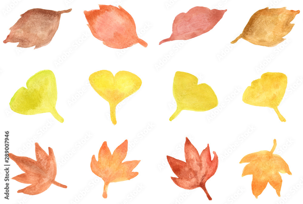 秋の落ち葉 イラスト Stock Illustration Adobe Stock