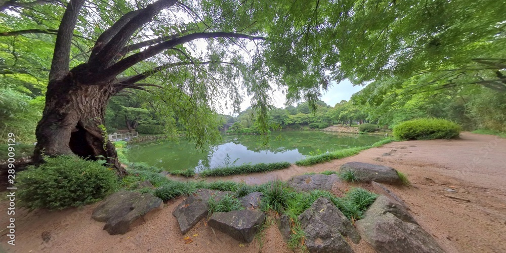 Gyeongju, South Korea 27 August 2019: Arboretum in Korea. Garden and Park.. Gyeongju, South Korea 27 August 2019: Arboretum in Korea. Garden and Park..