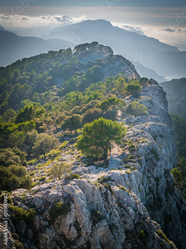 Fototapeta Naklejka Na Ścianę i Meble -  Hiking Mallorca