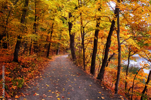 Path into autumn park