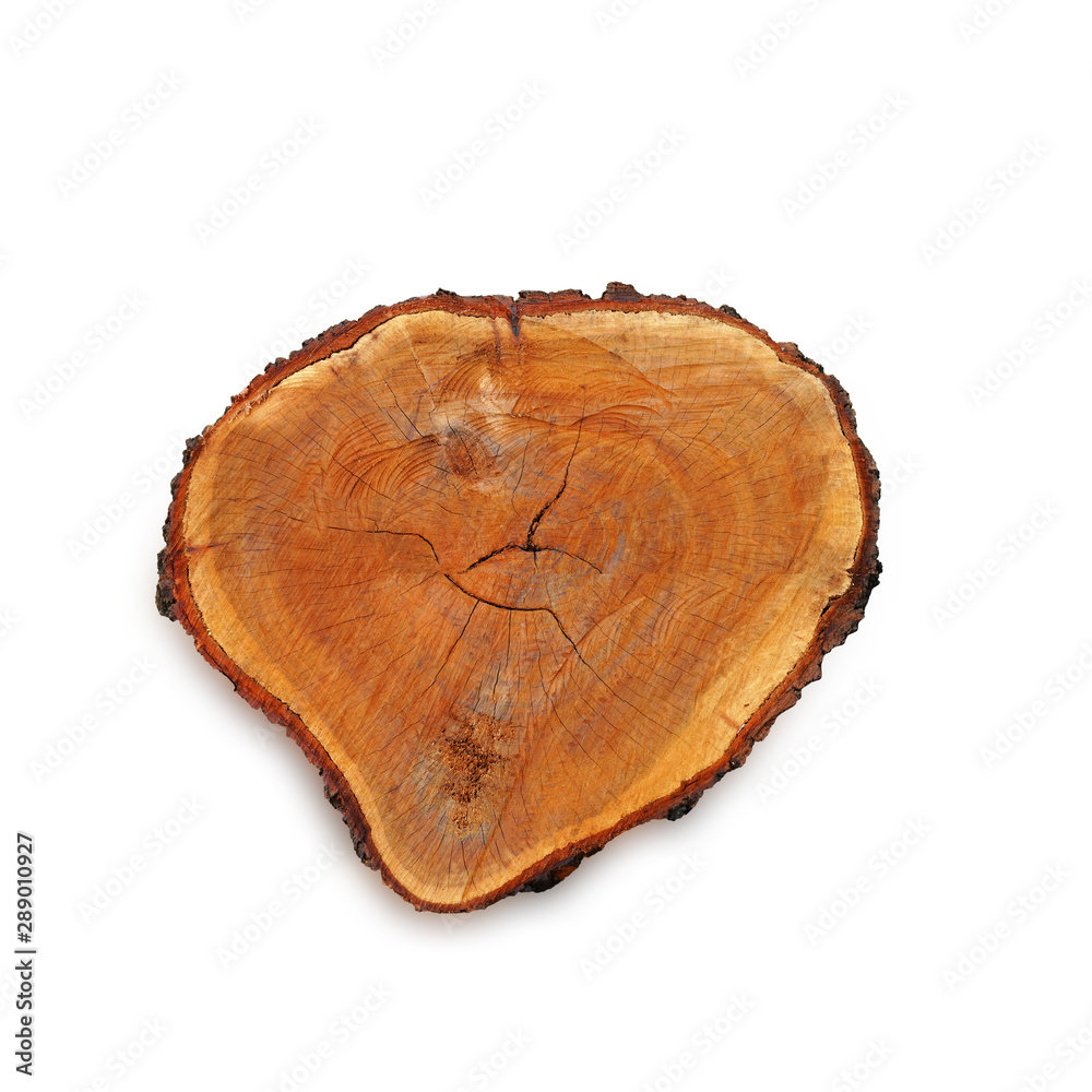 Stump wooden texture isolated on white background. This has clipping path. Stump wooden texture isolated on white background. This has clipping path.