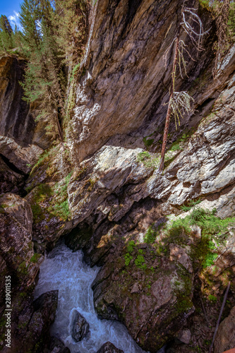 Klamm in Felsen mit rauschendem Wildwasserbach und Nadelb  umen am Rand