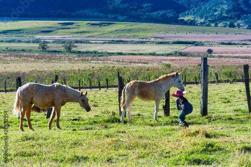 La niña se agacha para tomarle una foto al caballo. photo