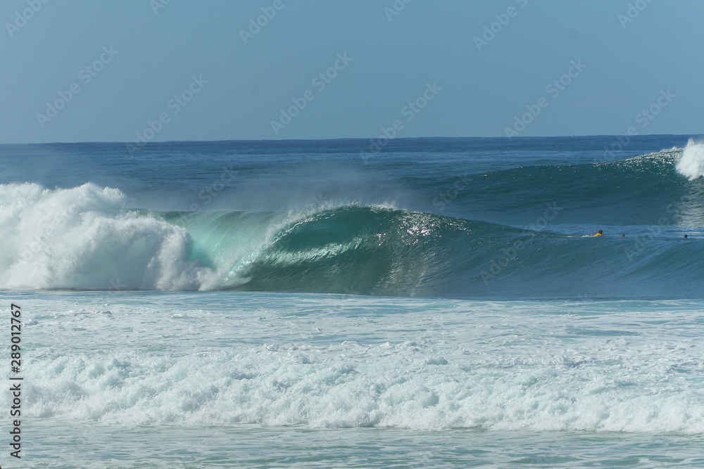 massive perfect surfing wave at the famous banzai pipeline beach in hawaii
