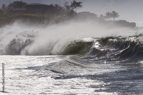 huge tsunami wave crashing in hawaii © Ryan