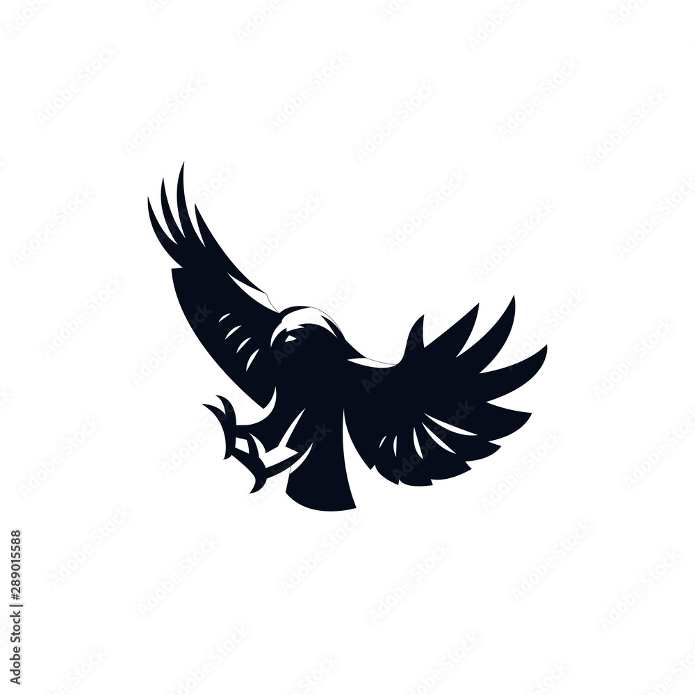 Obraz premium Diving eagle with wings up