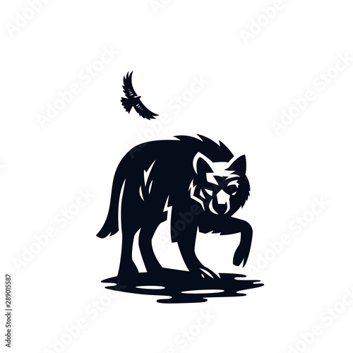 wolf or wild dog