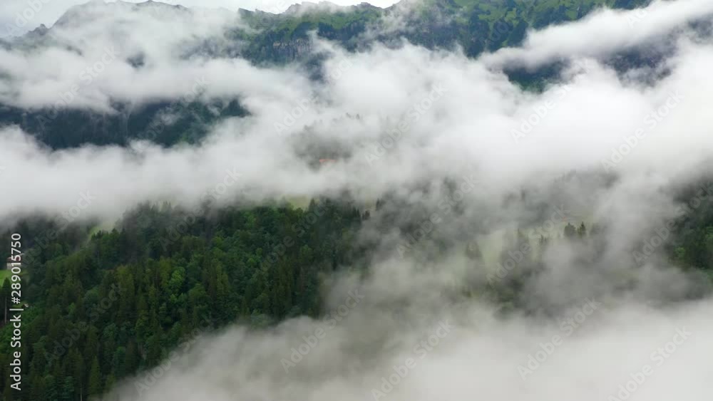 Aerial, drone shot, panning over foggy forest, in the swiss alps, near the Lauterbrunnen village, on a cloudy, summer day, in Bernese Oberland, Switzerland Aerial, drone shot, panning over foggy forest, in the swiss alps, near the Lauterbrunnen village, on a cloudy, summer day, in Bernese Oberland, Switzerland