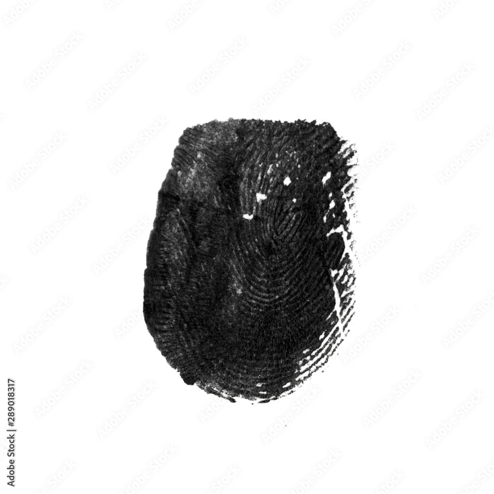 fingerprint pattern isolated on white - Image fingerprint pattern isolated on white - Image