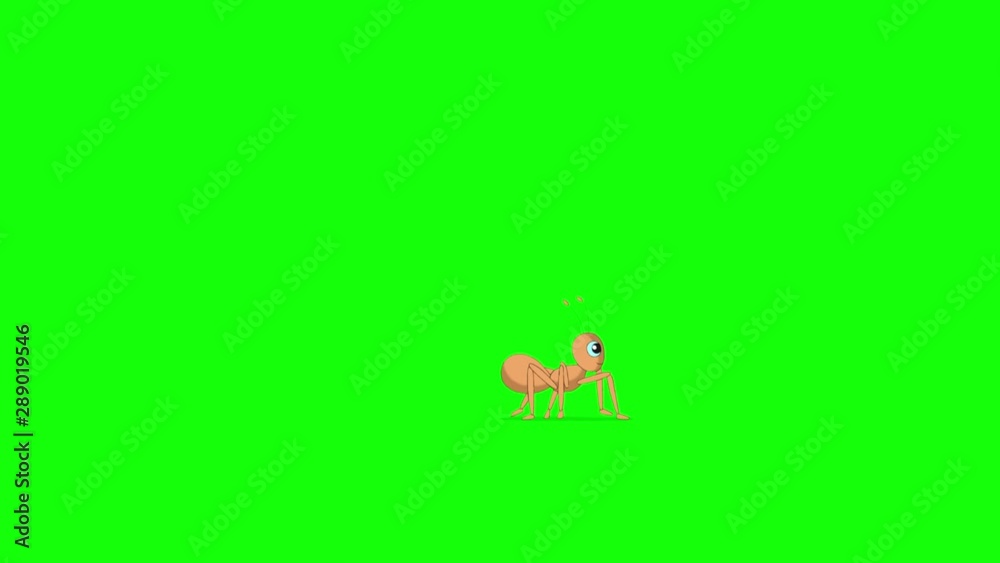 Running ant Running ant