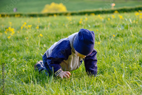 A little boy in a cap crawling on the bright green grass